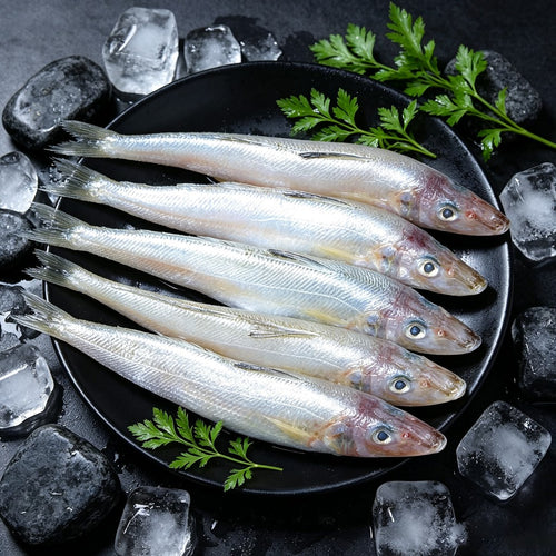 Whole sillago fish on ice with fresh herbs